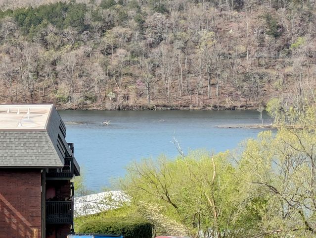 150 Sunken Forest Dr. 3-134, Forsyth, MO 65653