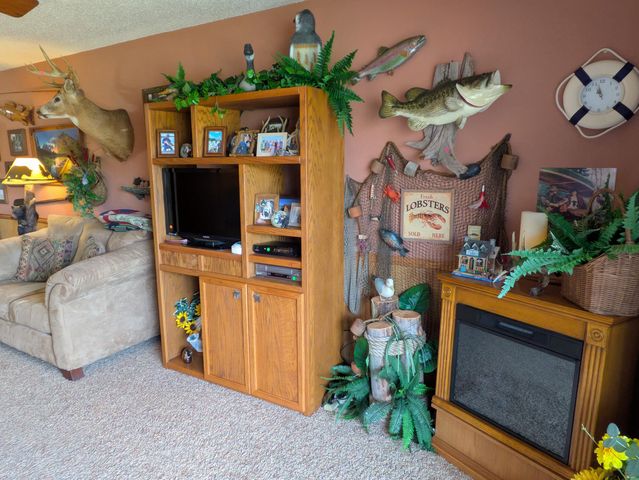 150 Sunken Forest Dr. 3-134, Forsyth, MO 65653