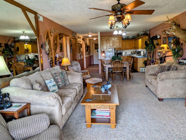 150 Sunken Forest Dr. 3-134, Forsyth, MO 65653