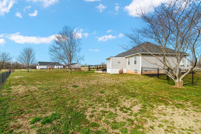 116 Sarong Ct, Christiana, TN 37037