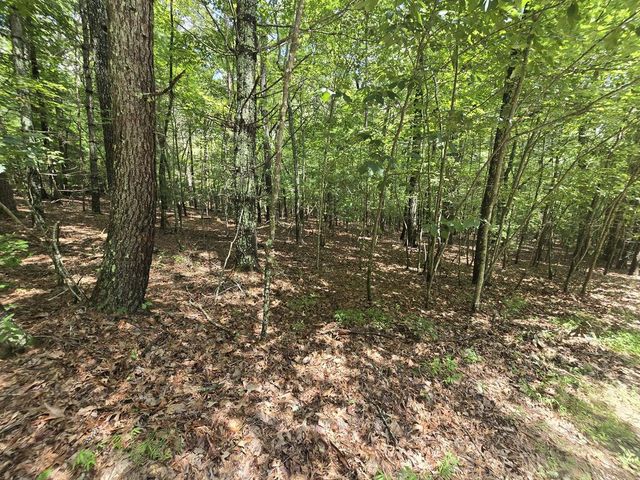 Lot 24 Possum Poke Road, Ellijay, GA 30536