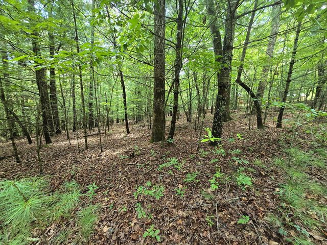 Lot 24 Possum Poke Road, Ellijay, GA 30536