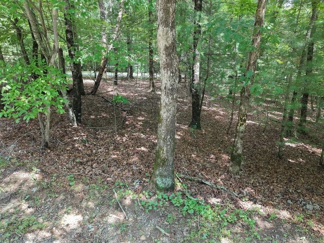 Lot 24 Possum Poke Road, Ellijay, GA 30536