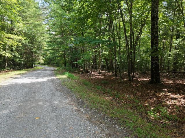 Lot 24 Possum Poke Road, Ellijay, GA 30536