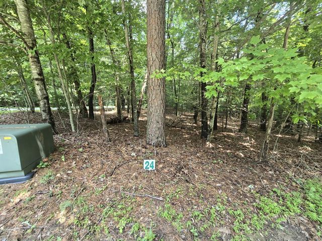 Lot 24 Possum Poke Road, Ellijay, GA 30536