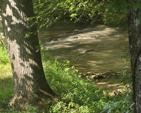 Lot 24 Possum Poke Road, Ellijay, GA 30536
