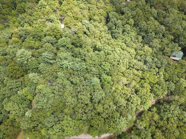 Lot 24 Possum Poke Road, Ellijay, GA 30536