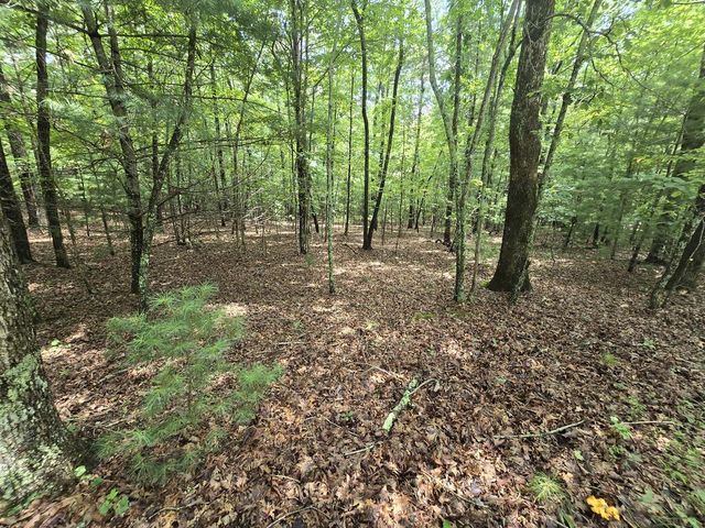 Lot 24 Possum Poke Road, Ellijay, GA 30536
