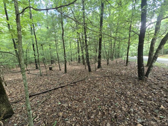 Lot 24 Possum Poke Road, Ellijay, GA 30536
