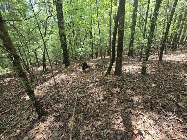 Lot 24 Possum Poke Road, Ellijay, GA 30536