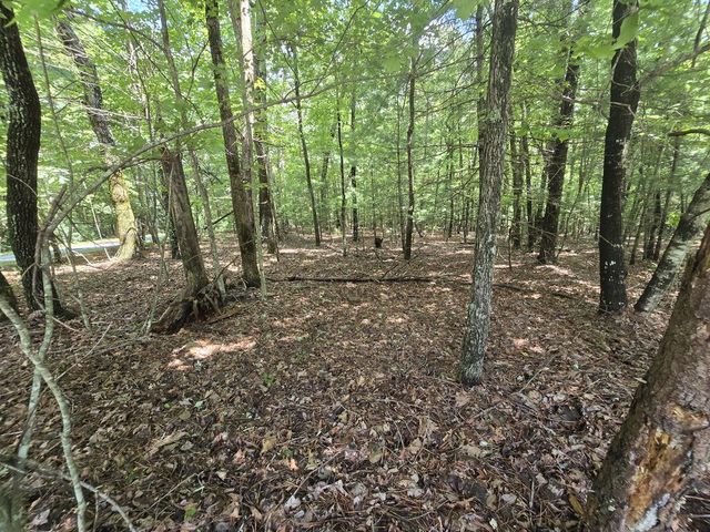 Lot 24 Possum Poke Road, Ellijay, GA 30536