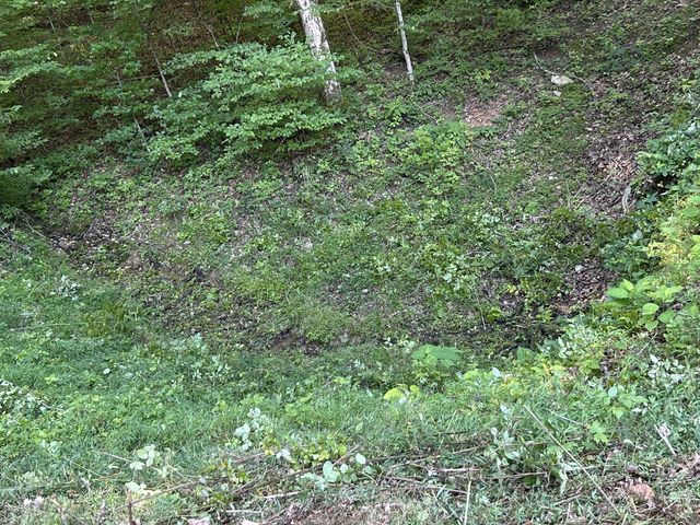 0 E Cave Spring Rd, Pulaski, TN 38478