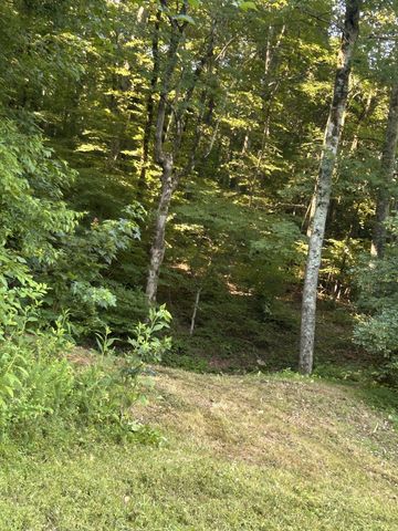 0 E Cave Spring Rd, Pulaski, TN 38478