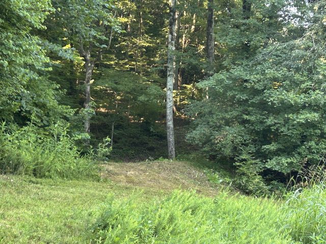 0 E Cave Spring Rd, Pulaski, TN 38478