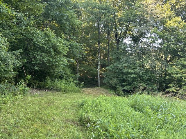 0 E Cave Spring Rd, Pulaski, TN 38478