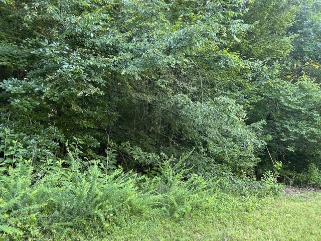 0 E Cave Spring Rd, Pulaski, TN 38478