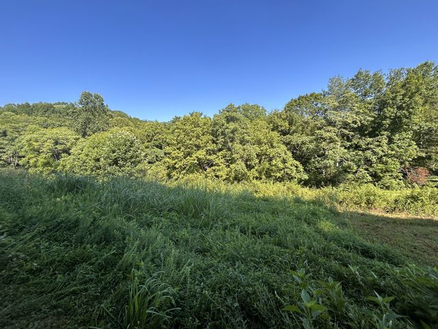 0 E Cave Spring Rd, Pulaski, TN 38478