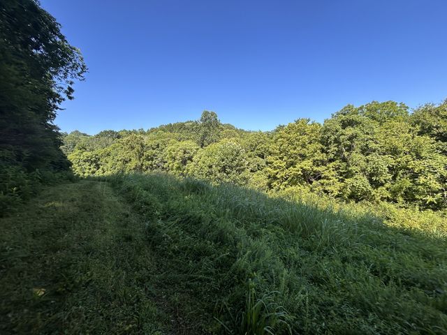 0 E Cave Spring Rd, Pulaski, TN 38478