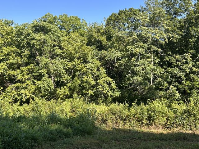 0 E Cave Spring Rd, Pulaski, TN 38478