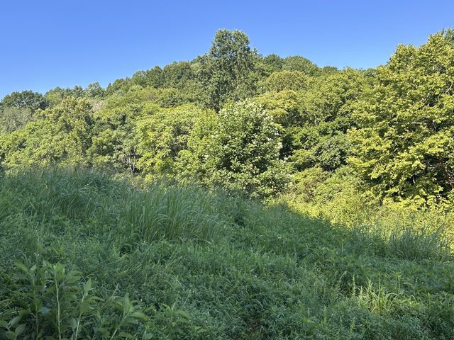 0 E Cave Spring Rd, Pulaski, TN 38478