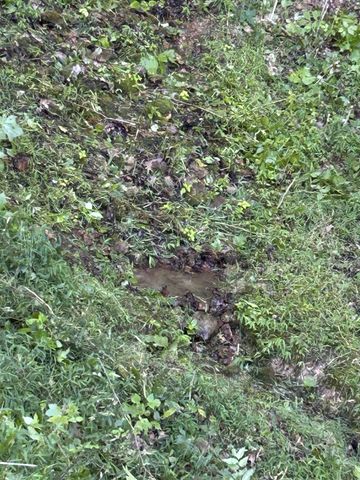 0 E Cave Spring Rd, Pulaski, TN 38478