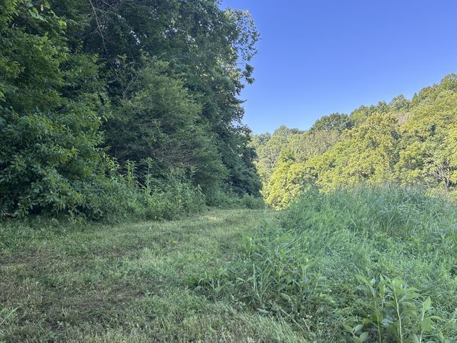 0 E Cave Spring Rd, Pulaski, TN 38478