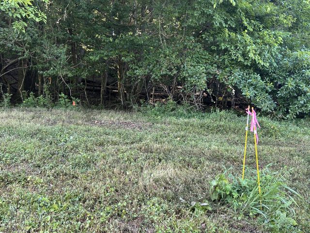 0 E Cave Spring Rd, Pulaski, TN 38478