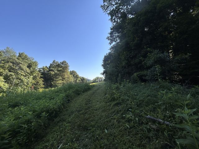 0 E Cave Spring Rd, Pulaski, TN 38478