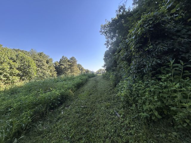 0 E Cave Spring Rd, Pulaski, TN 38478