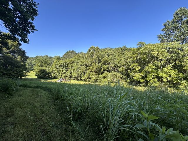 0 E Cave Spring Rd, Pulaski, TN 38478