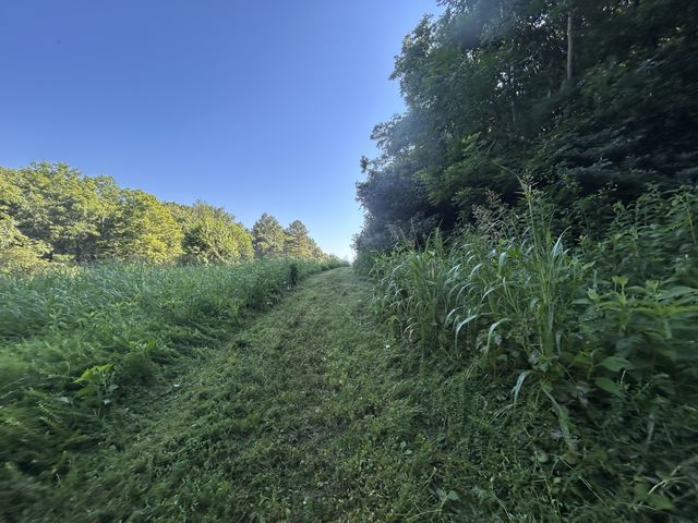 0 E Cave Spring Rd, Pulaski, TN 38478