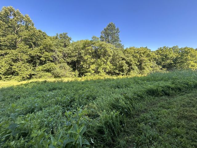 0 E Cave Spring Rd, Pulaski, TN 38478