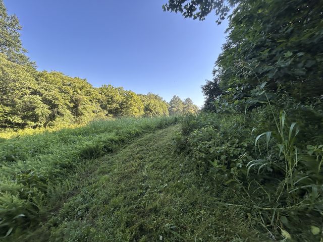 0 E Cave Spring Rd, Pulaski, TN 38478