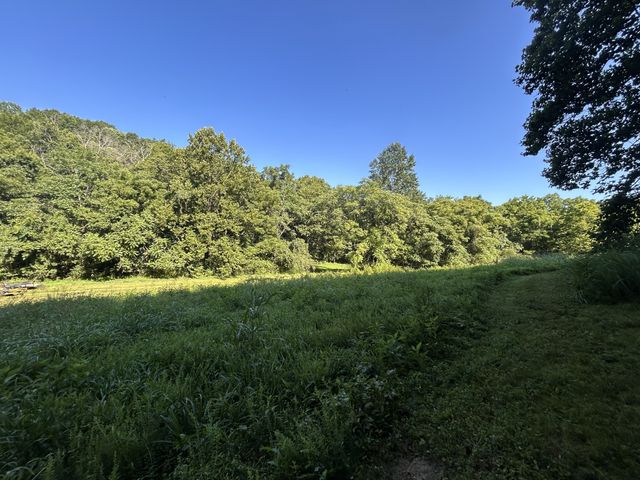 0 E Cave Spring Rd, Pulaski, TN 38478