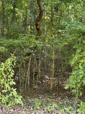 0 E Cave Spring Rd, Pulaski, TN 38478