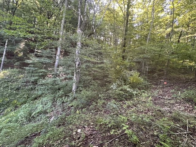 0 E Cave Spring Rd, Pulaski, TN 38478