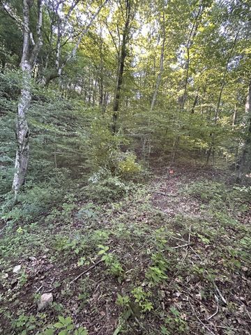 0 E Cave Spring Rd, Pulaski, TN 38478