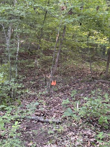 0 E Cave Spring Rd, Pulaski, TN 38478