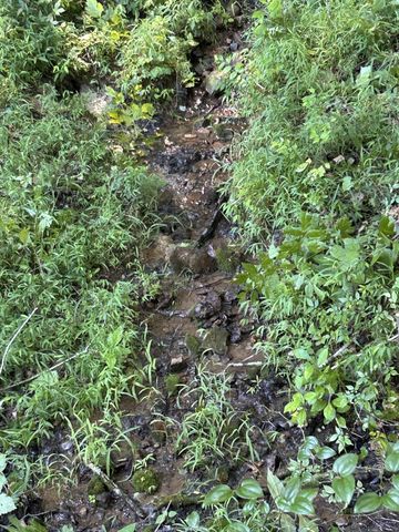 0 E Cave Spring Rd, Pulaski, TN 38478