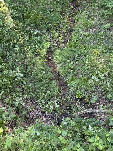 0 E Cave Spring Rd, Pulaski, TN 38478