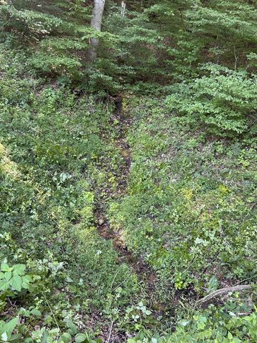 0 E Cave Spring Rd, Pulaski, TN 38478