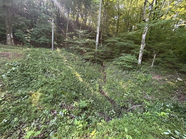 0 E Cave Spring Rd, Pulaski, TN 38478