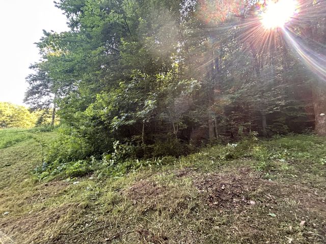 0 E Cave Spring Rd, Pulaski, TN 38478