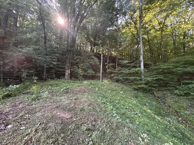 0 E Cave Spring Rd, Pulaski, TN 38478