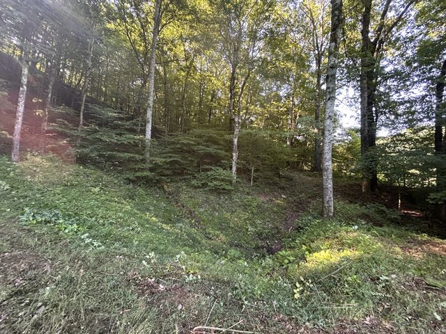 0 E Cave Spring Rd, Pulaski, TN 38478