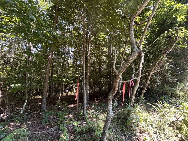 0 E Cave Spring Rd, Pulaski, TN 38478