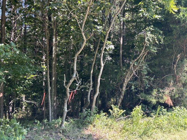 0 E Cave Spring Rd, Pulaski, TN 38478