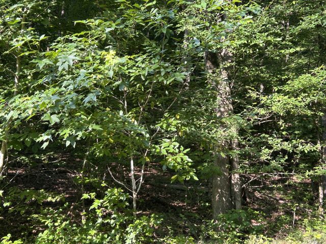 0 E Cave Spring Rd, Pulaski, TN 38478