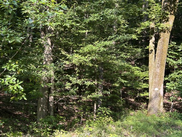 0 E Cave Spring Rd, Pulaski, TN 38478