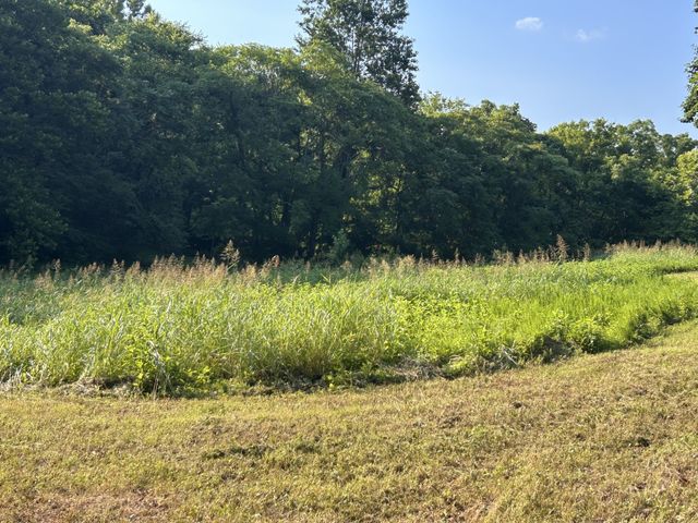 0 E Cave Spring Rd, Pulaski, TN 38478